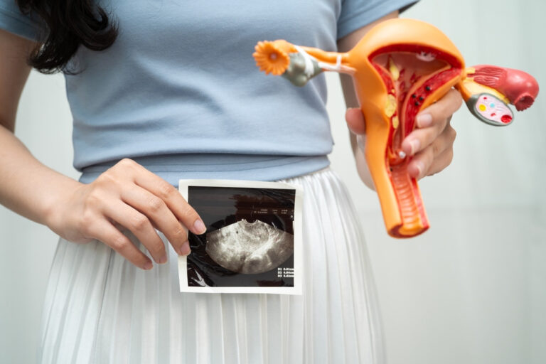 Woman holding a human uterus anatomy model during an ultrasound consultation